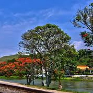 QUELUZ